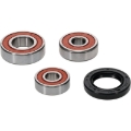 Picture of Pivot Works Premium Wheel Bearing
