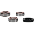 Picture of Pivot Works Premium Wheel Bearing