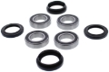 Picture of Pivot Works PIV Wheel Bearing Kit - PWFWK-Y11-043