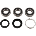 Picture of Pivot Works PIV Wheel Bearing Kit - PWRWK-H09-521