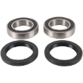 Picture of Pivot Works PIV Wheel Bearing Kit - PWRWK-S11-020