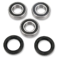 Picture of Pivot Works PIV Wheel Bearing Kit - PWRWK-S13-021