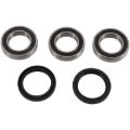 Picture of Pivot Works PIV Wheel Bearing Kit Rear - PWRWK-Y09-421