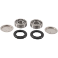 Picture of Pivot Works 06-09 Arctic Cat 250 2x4 Swing Arm Kit