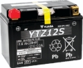 Picture of Yuasa YTZ12S Maintenance Free AGM 12-Volt Battery