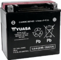 Picture of Yuasa YTX14L-BS Maintenance Free AGM 12-Volt Battery w/Bottle