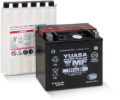 Picture of Yuasa YTX14L-BS Maintenance Free AGM 12-Volt Battery w/Bottle
