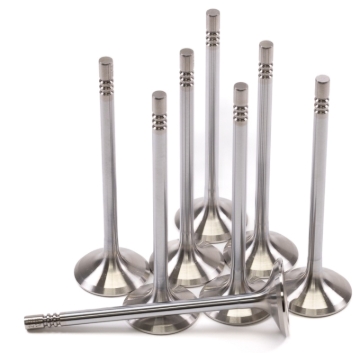Picture of GSC Power Division GSC Exhaust Valve Sets-STD - 2155-8