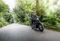 Picture of Ohlins 91-17 Harley-Davidson Dyna FXD STX 36 Twin Shock Absorber