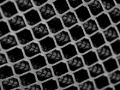 Picture of aFe MagnumFLOW Pro 5R Intake Replacement Air Filters (For 50-70091D/R & 50-70100D/R) - Pair