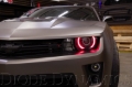 Picture of Diode Dynamics 10-13 RS/12-15 ZL1 Camaro RGBW LED Boards