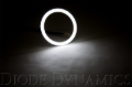 Picture of Diode Dynamics DIO Halo Ring Bulb - DD2062