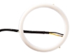 Picture of Diode Dynamics DIO Halo Ring Bulb - DD2062