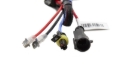 Picture of Diode Dynamics DIO Replacement Bulbs - DD1203P