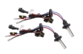 Picture of Diode Dynamics DIO Replacement Bulbs - DD1203P