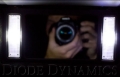 Picture of Diode Dynamics DIO Replacement Bulbs - DD0067P
