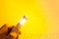 Picture of Diode Dynamics DIO Replacement Bulbs - DD0053P
