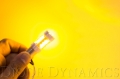 Picture of Diode Dynamics DIO Replacement Bulbs - DD0013P