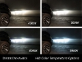 Picture of Diode Dynamics DIO Replacement Bulbs - DD1034P