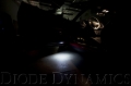 Picture of Diode Dynamics DIO Replacement Bulbs - DD0332P