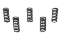 Picture of Wiseco KTM 144/150/200 Clutch Spring Kit