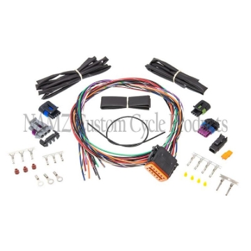 Picture of NAMZ Twin Cam Ignition Harness (For 04-06 OEM Style or Screaming Eagle Ignition Module)