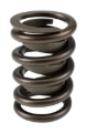 Picture of SET, SINGLE SPRING W/ DAMPER, 1.440 OD, 1.750 IH, .600 LIFT, 350 LBS/IN, FT/HR