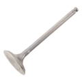 Picture of Hot Cams 03-09/11-15 WR 450 F Titanium Intake Valve - Center