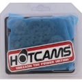 Picture of Hot Cams 08-11 WR 250 X Supermoto/08-20 WR 250 R Dual Sport Camshaft Chain Silent Kit