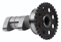 Picture of Hot Cams 15-19 WR 250 F/14-16 YZ 250 F/15-19 YZ 250 FX Intake Camshaft - Stage 1