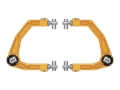 Picture of ICON ICO Upper Control Arms - 58552GDJ
