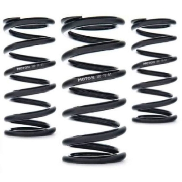 Picture of AST Linear Race Springs - 200mm Length x 80 N/mm Rate x 51mm ID - Single