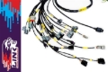 Picture of Rywire Honda K-Series Naturally Aspirated w/LINK G4 ECU Engine Harness (w/4 Inj / No EMAP/Boost)