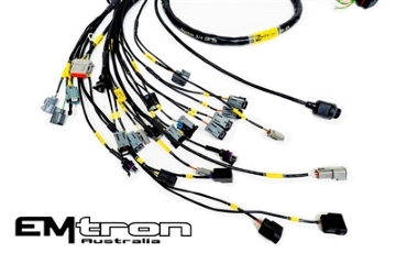 Picture of Rywire K-Series Naturally Aspirated w/Emtron KV8 ECU Engine Harness (w/4 Inj / No EMAP/Boost)