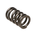 Picture of Manley Performance MAN Valve Spring Kits Valve Springs, Retainers - 22125-1