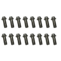 Picture of Kooks Ford 5.0L 4V Coyote Engine Header Bolt Kit (Fine Thread) QTY. 16 - M10 - 1.25 x 25mm Bolts