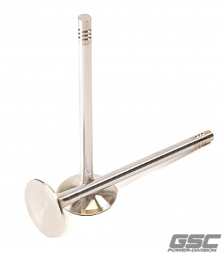 Picture of GSC P-D Audi DAZA 28mm Head STD 101.8mm Long Chrome Polished Exhaust Valve - Single