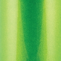 Picture of Wehrli 17-19 Duramax L5P Coolant Tank OEM Placement Sparkle Granny Smith