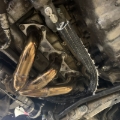 Picture of Fire Wrap 3000(TM) - 1" ID by linear foot