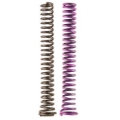Picture of Moroso 2 Piece Oil Pump Spring Kit (For 22171/22192/Spur Gear SBC)