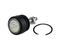 Picture of Cognito 19-24 Chevy/GMC Silverado/Sierra 1500 HD Series Upper Press In Ball Joint