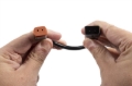 Picture of Diode Dynamics H11 DT 2-Pin Adapter - Pair