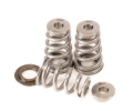 Picture of GSC Power Division GSC Valve Spring Kits Valve Springs, Retainers - 5024