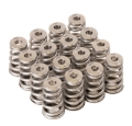 Picture of GSC Power Division GSC Valve Spring Kits Valve Springs, Retainers - 5024