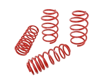 Picture of Skunk2 07-12 Honda Civic Type-R (FN2) Lowering Springs (Set of 4)