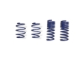 Picture of Ford Racing 2024 Mustang 2.3L Track Lowering Spring Kit