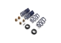 Picture of Ford Racing 15-24 Mustang Street Lowering Spring Kit
