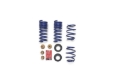 Picture of Ford Racing 2024 Mustang 2.3L Track Lowering Spring Kit
