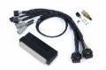 Picture of Haltech NEXUS S2/S3 Plug-n-Play Adapter Harness