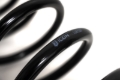 Picture of ICON 21-24 Raptor Triple Rate Coil Spring Kit